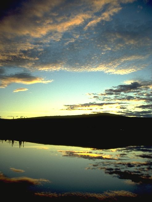 Alaska Bild: Fairbanks - Chena Marina