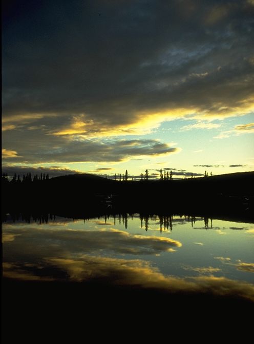 Alaska Bild: Fairbanks - Chena Marina