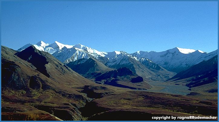 Alaska Bild: Denali National Park