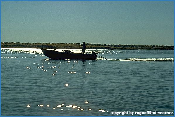 Alaska Bild: Fort Yukon - Yukon River