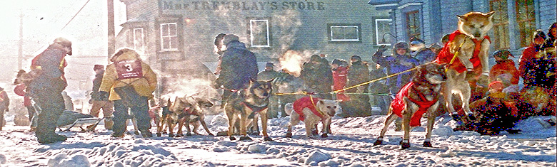 Schlittenhunderennen (c) Katrine Kaarsemaker