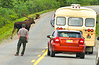 Denali Naional Park / Bus Tour (c) ARAMARK Parks and Destinations