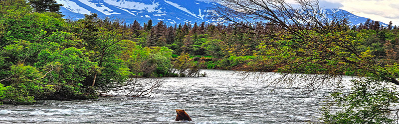 Katmai National Park (c) Mark Stevens 