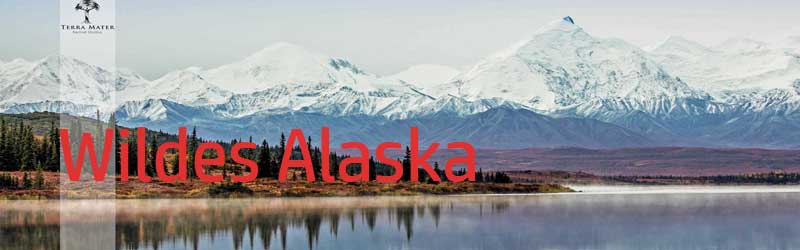 Wildes Alaska (c) Servus TV / Felicity Lanchester 