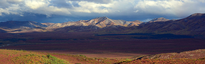 Abenteuer Alaska - Indian Summer im Denali Nationalpark in Alaska. (c) ZDF und Kay Siering Abenteuer Alaska - Indian Summer im Denali Nationalpark in Alaska. (c) ZDF und Kay Siering