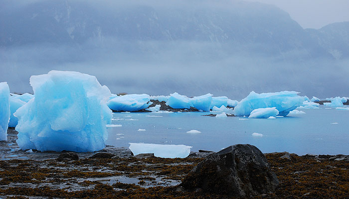 Abenteuer Alaska - In der Glacier Bay (c) ZDF und Kay Siering