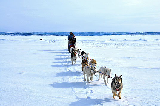 Die Familie mit den Schlittenhunden (c) Real Fiction Filmverleih 