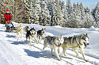 Husky Workshop (c) Jochen Schweizer / Amazon