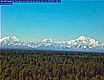 Alaska Denali Cam