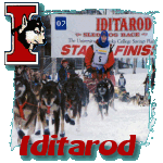 Iditarod Race