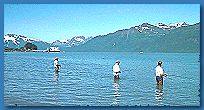 Fischen