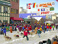 Iditarod Race