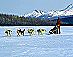 Yukon Quest