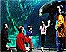 SeaLifeCenter