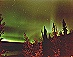 Copyright Udo Sell