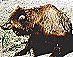 Copyright Udo Sell