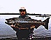 Copyright Udo Sell