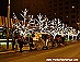 Copyright Trails of Anchorage