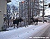 Copyright Trails of Anchorage