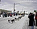 Copyright Trails of Anchorage